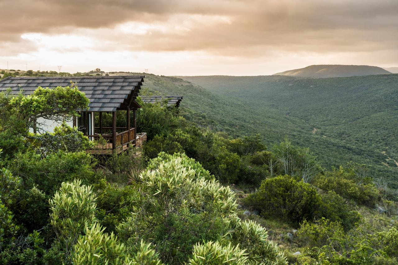 Ikwanitsha Lodge Paterson エクステリア 写真