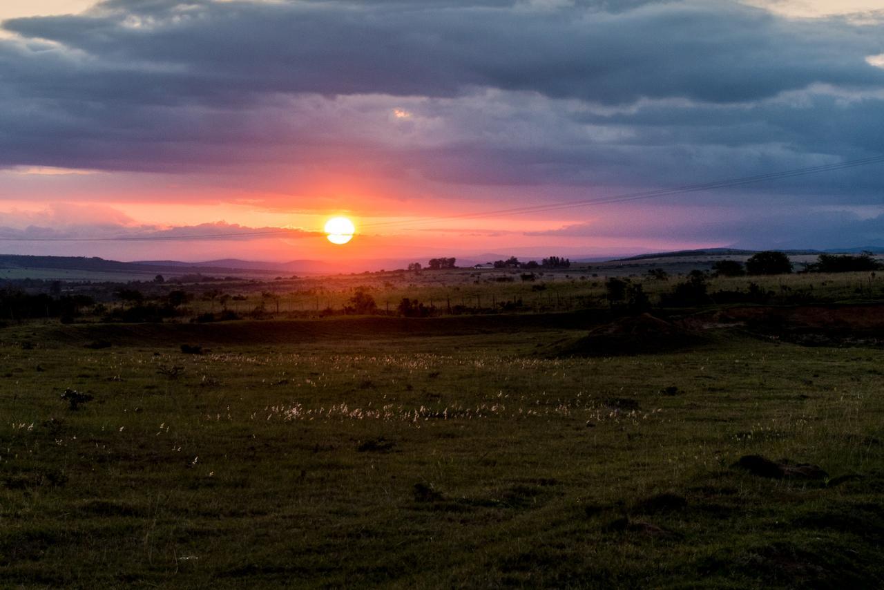 Ikwanitsha Lodge Paterson エクステリア 写真