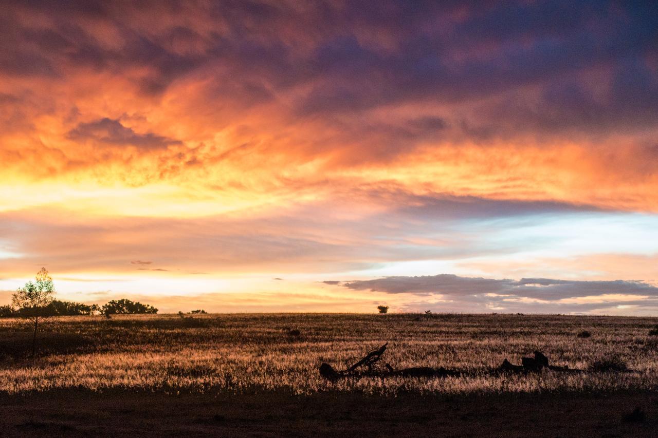 Ikwanitsha Lodge Paterson エクステリア 写真
